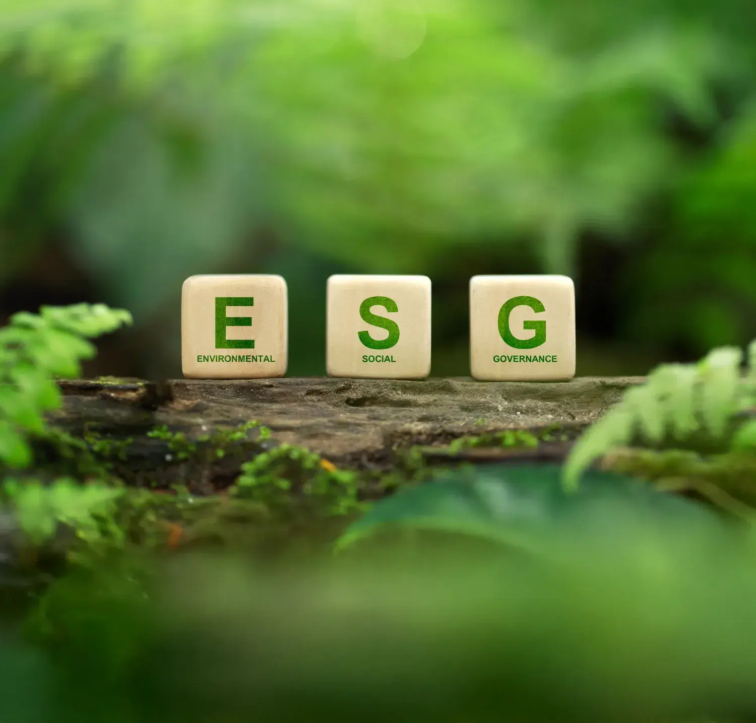ESG